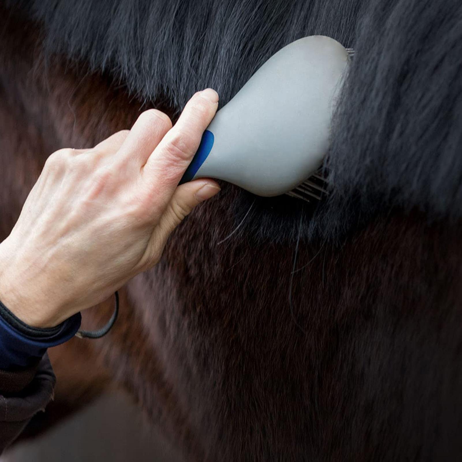 Профессиональные щетки для ухо – обзор и цена Grooming Kit Horse