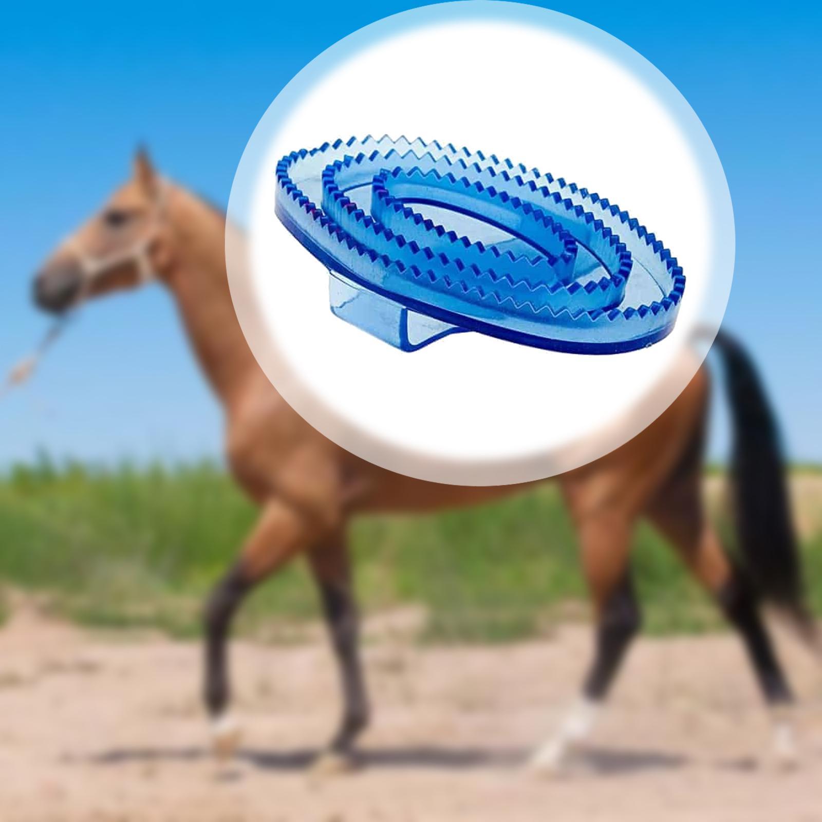 Набор для ухода за лошадьми: м – обзор и цена Grooming Kit Horse