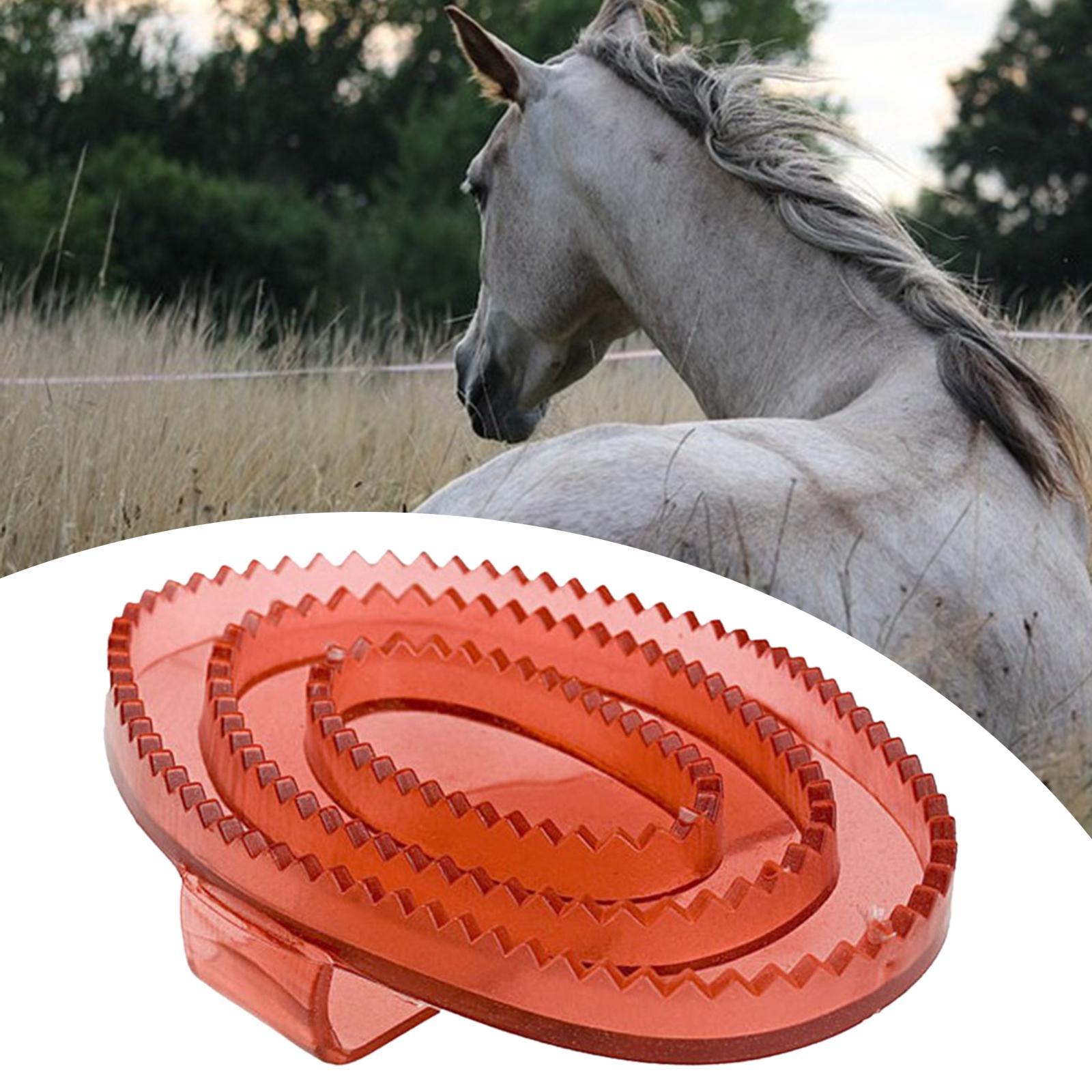 Набор для ухода за лошадьми: м – обзор и цена Grooming Kit Horse